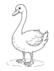 Swan in a whimsical coloring page