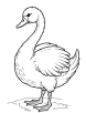 Swan with bright colors coloring page