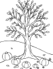 Thanksgiving thankful tree coloring page