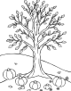 Thanksgiving Coloring Page