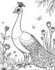 Peacock Coloring Page