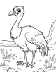 Vulture Coloring Page