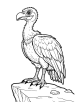 vulture coloring page