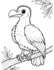 vulture coloring page