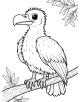 Vulture Coloring Page