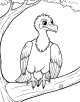 Vulture Coloring Page