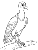 Vulture sitting coloring page