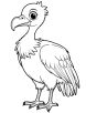 Bald head vulture coloring page