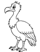 Vulture with sharp beak coloring page