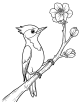 Woodpecker Coloring Page