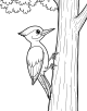 Woodpecker Coloring Page