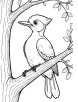 Woodpecker coloring page 4