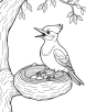 woodpecker nest coloring page