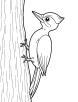 Woodpecker crawling coloring page