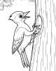 Woodpecker Coloring Page