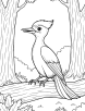 Woodpecker in forest coloring page