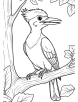 Woodpecker in nature coloring page