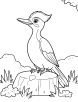 Woodpecker in woodland coloring page