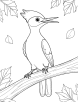 Woodpecker in autumn coloring page