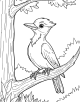 Woodpecker Coloring Page