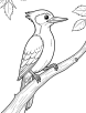 Woodpecker on branch coloring page