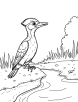 Woodpecker on rock coloring page