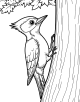 Woodpecker Coloring Page