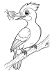 Woodpecker with bug coloring page