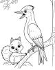 Woodpecker Coloring Page