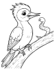 Woodpecker Coloring Page