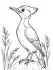 Woodpecker coloring page