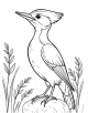 Woodpecker Coloring Page