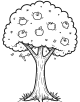 Apple Coloring Page