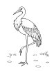 Crane bird standing on one leg coloring page