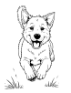 Dog running coloring page