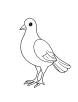 Dove coloring page