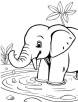 Elephant in the pond coloring page