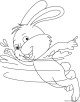 Rabbit Coloring Page