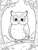 Forest owl coloring page