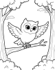 Owl Coloring Page