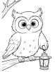 Owl with lantern coloring page