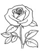 Rose Flower Coloring Page