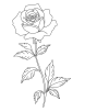 Suman rose coloring page