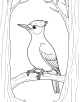 Woodpecker Coloring Page