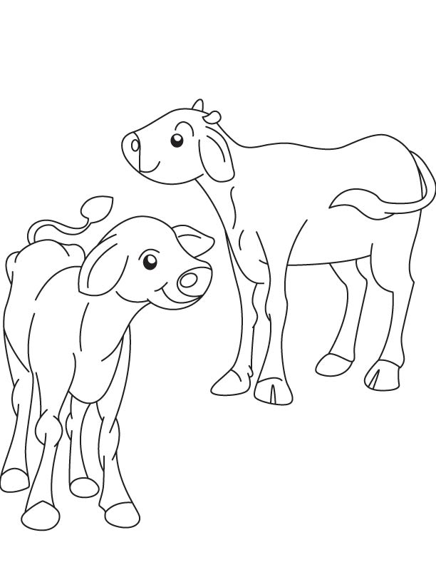 Two ox calf coloring page | Download Free Two ox calf coloring page for ...