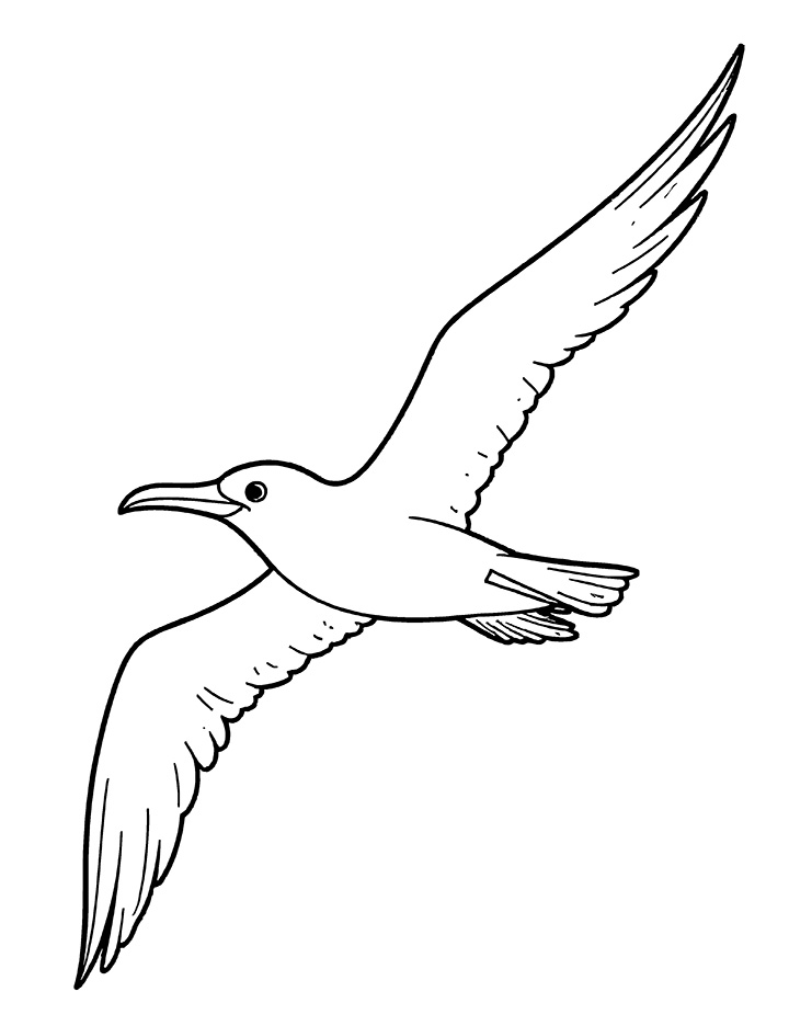 Albatross flying high coloring page