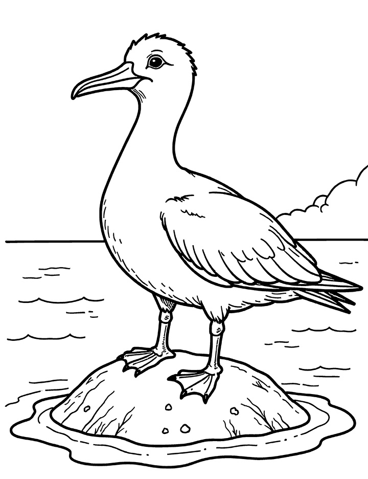 Albatross on an island coloring page