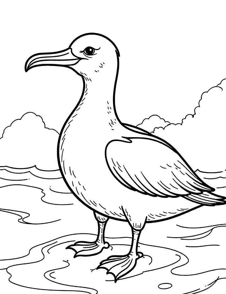 Albatross with ocean coloring page