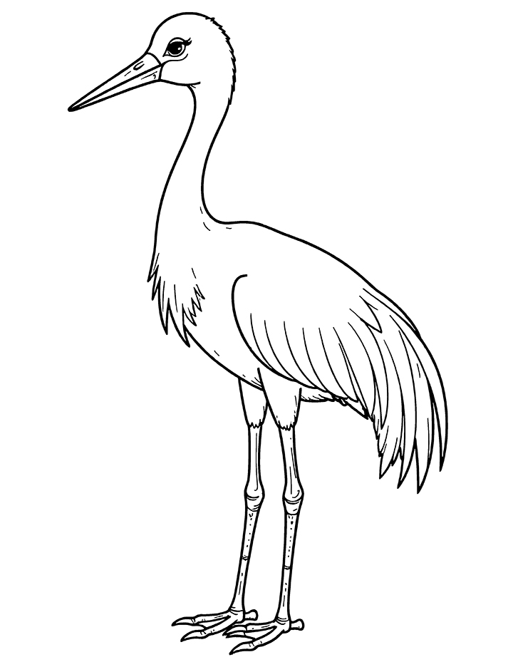 Asian crane coloring page