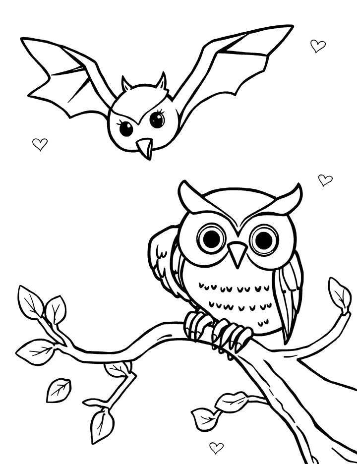 Bat and owl in the night coloring page